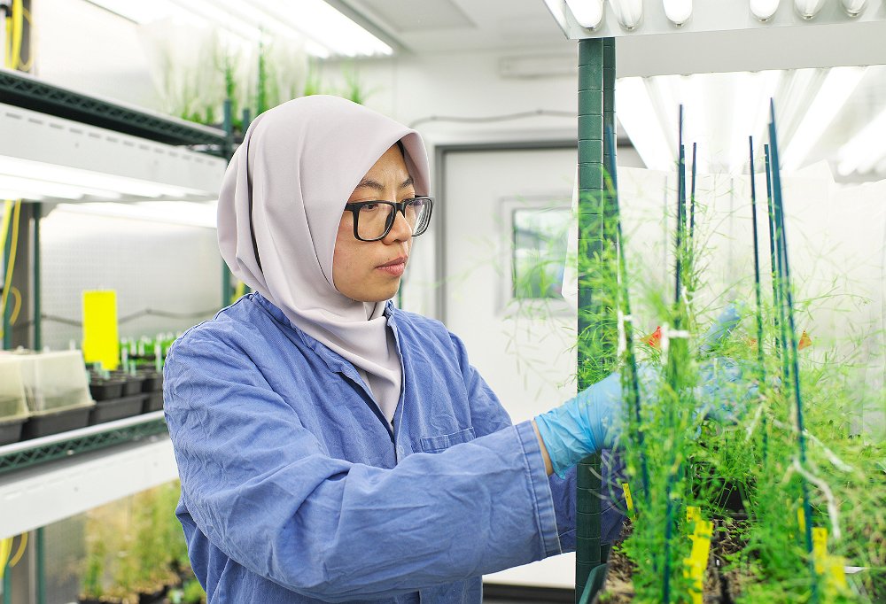 TS. Nadia Radzman sẽ mang đến những kinh nghiệm thực tiễn từ các nghiên cứu và dự án của bà trong lĩnh vực nông nghiệp và thực phẩm tại Tuần lễ Khoa học Công nghệ VinFuture năm nay. Ảnh: IE Cambridge.  