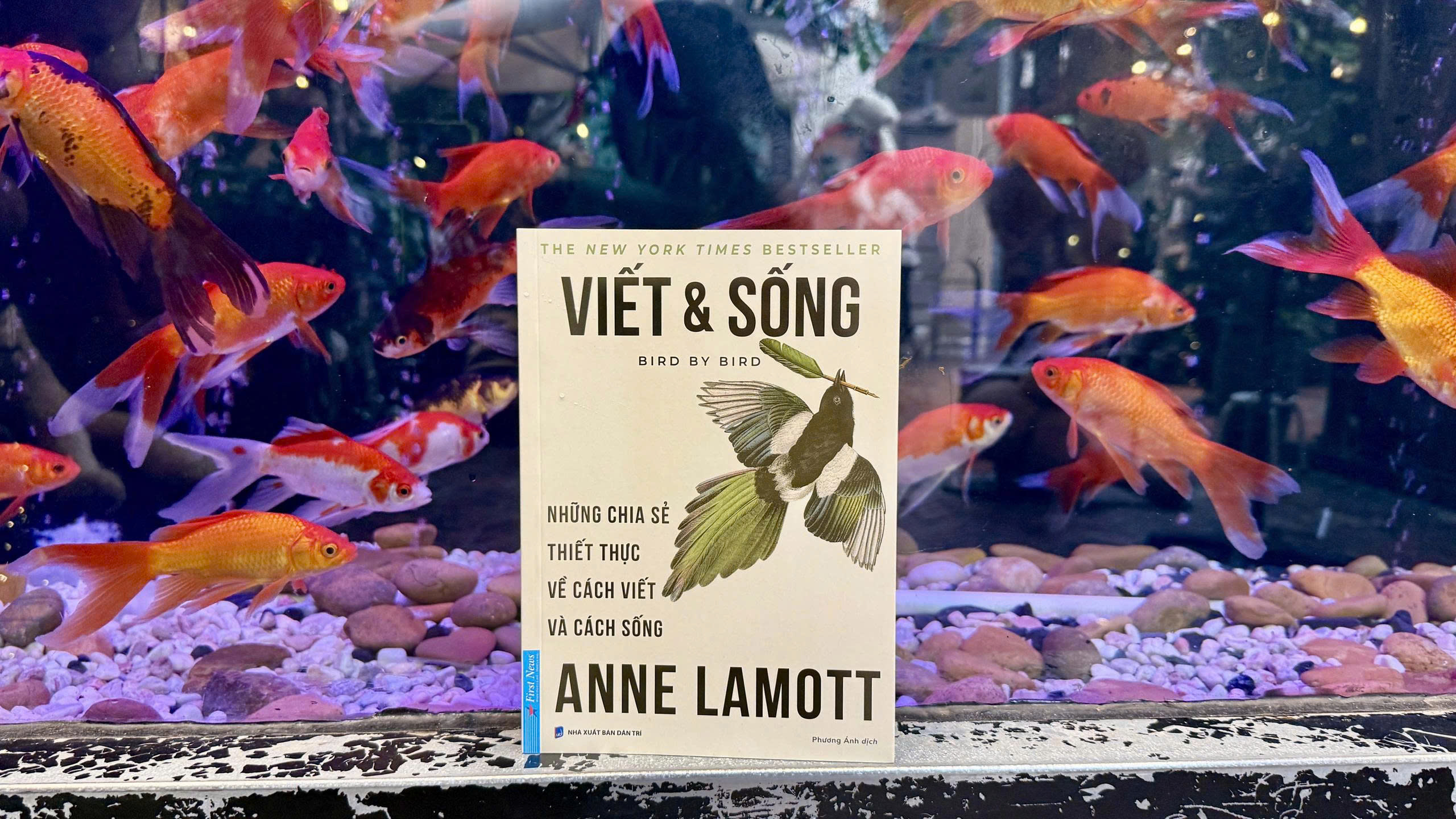 'Viết và sống’ - Khi máy móc có thể viết thay, vì sao ta vẫn phải cầm bút?  - Ảnh 1