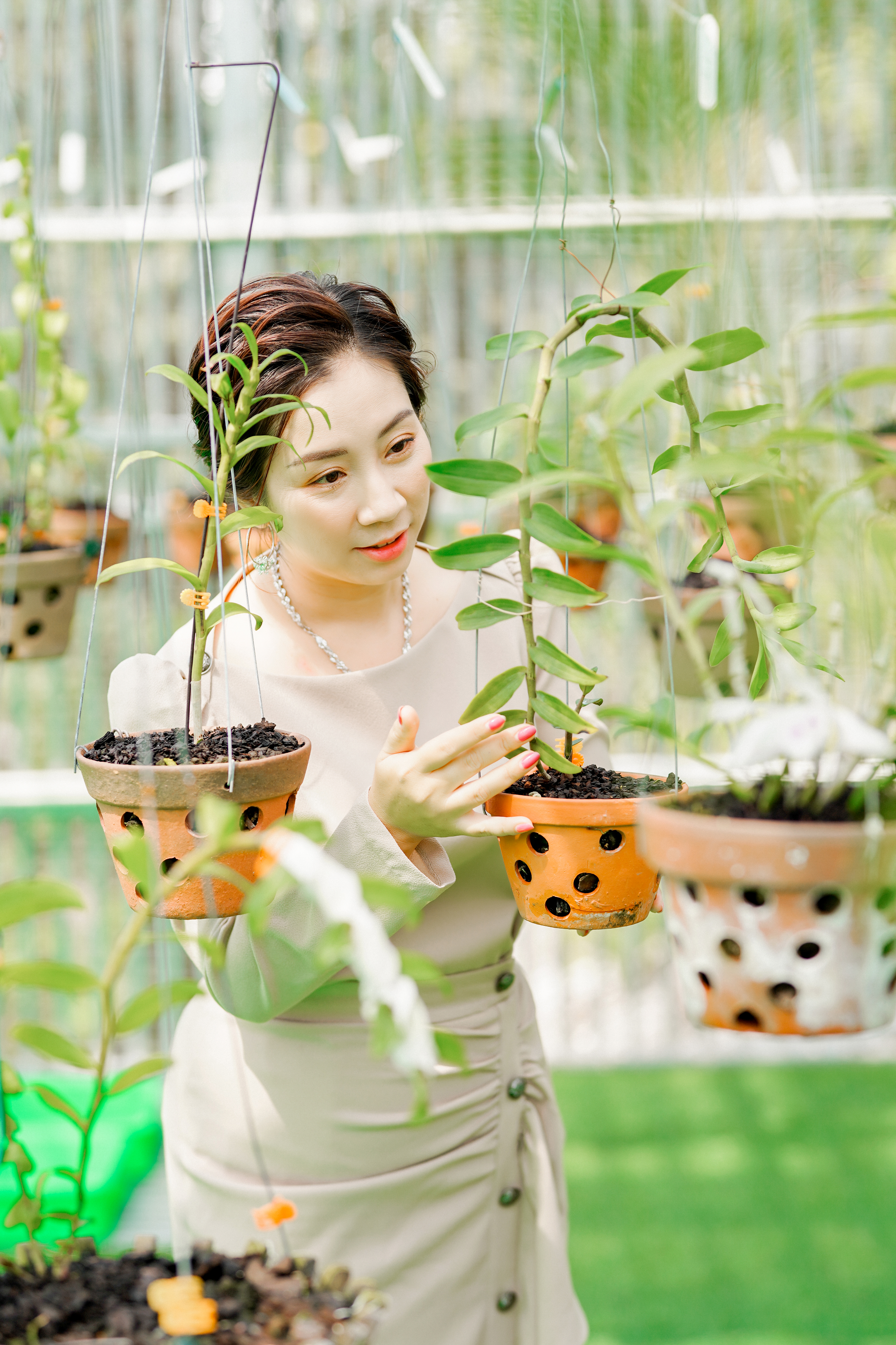 Th&#225;i Anh Tuyết - Từ một c&#244; g&#225;i bu&#244;n rau tới đại gia hoa lan - Ảnh 1