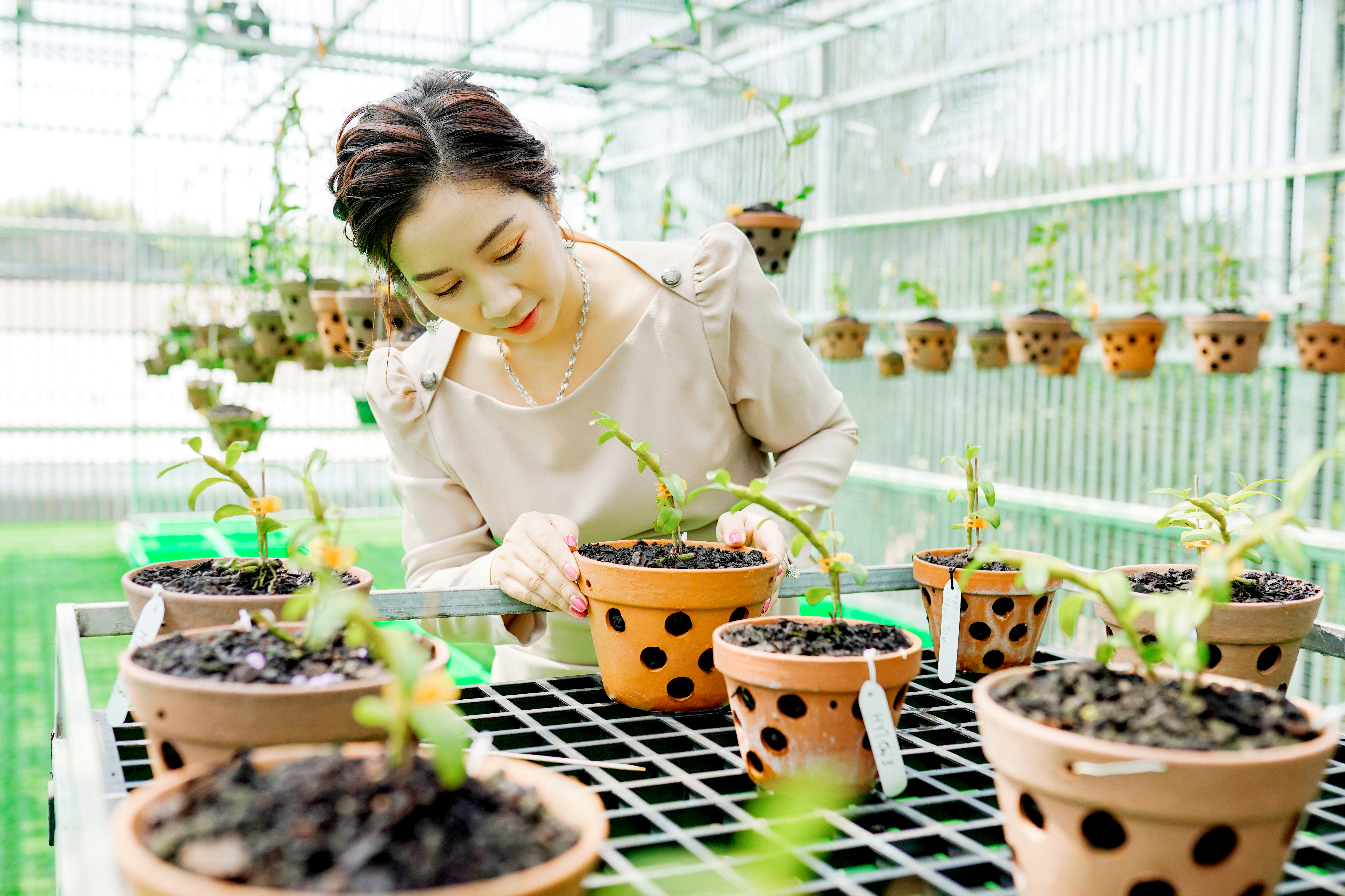 Th&#225;i Anh Tuyết - Từ một c&#244; g&#225;i bu&#244;n rau tới đại gia hoa lan - Ảnh 5