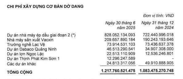 Tập đoàn Dabaco Việt Nam (DBC) vẫn còn hơn 500 tỷ đồng huy động vốn chưa sử dụng - Ảnh 1