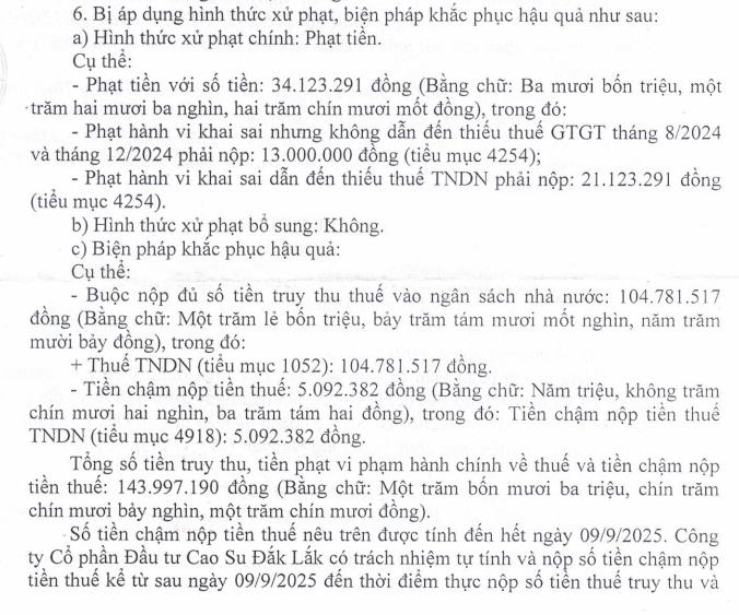 Vướng sai phạm, Công ty Đầu tư Cao su Đắk Lắk (DRI) bị phạt và truy thu thuế gần 144 triệu đồng - Ảnh 2