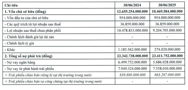Nợ phải trả tăng cao, lợi nhuận đi xuống, Phú Mỹ Hưng vẫn tất toán một lô trái phiếu - Ảnh 2 Nợ phải trả tăng cao, lợi nhuận đi xuống, Phú Mỹ Hưng vẫn tất toán một lô trái phiếu - Ảnh 2