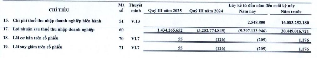 Nhờ hợp đồng thuê mới, Phát triển Đô thị và Khu công nghiệp Cao su Việt Nam (VRG) báo lãi trở lại trong quý III/2025 - Ảnh 2 Nhờ hợp đồng thuê mới, Phát triển Đô thị và Khu công nghiệp Cao su Việt Nam (VRG) báo lãi trở lại trong quý III/2025 - Ảnh 2