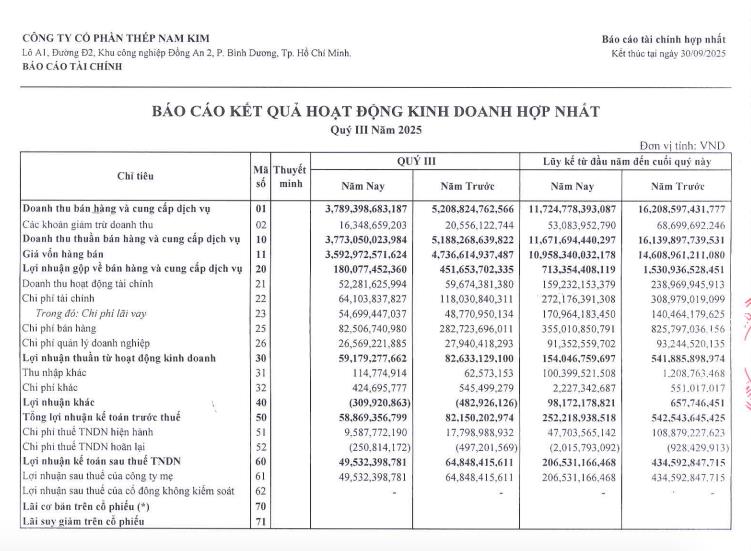 Lợi nhuận 9 tháng của Thép Nam Kim (NKG) giảm mạnh, hoàn thành gần 60% kế hoạch năm - Ảnh 1