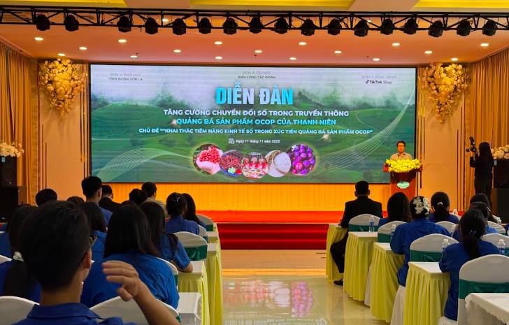 Hội nghị tập huấn tăng cường kỹ năng bán các sản phẩm OCOP qua phương tiện số cho thanh niên nông thôn - Ảnh 1