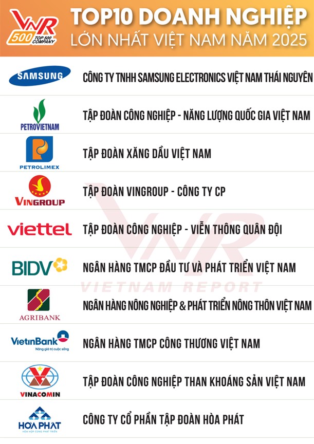 Hòa Phát (HPG) là doanh nghiệp sản xuất duy nhất lọt Top 10 Doanh nghiệp lớn nhất Việt Nam - Ảnh 1
