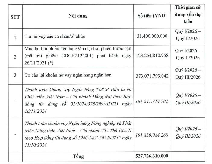 Chương Dương Corp (CDC) chào bán gần 52,8 triệu cổ phiếu, nâng vốn điều lệ lên hơn 1.000 tỷ đồng - Ảnh 1
