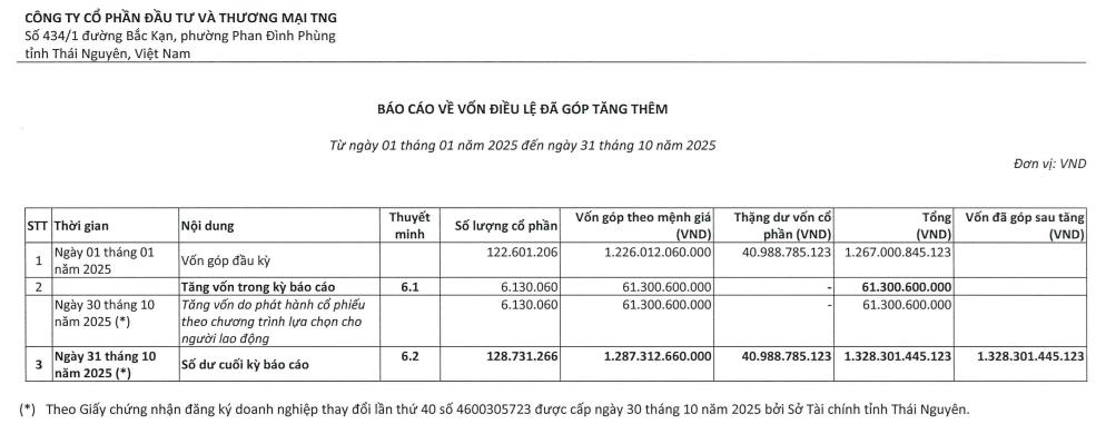 Đầu tư và Thương mại TNG (TNG) tăng vốn điều lệ lên hơn 1.300 tỷ đồng - Ảnh 1