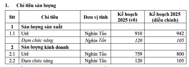 Phân bón Cà Mau (DCM): Nâng chỉ tiêu kinh doanh năm 2025, đặt mục tiêu của năm 2026 'thận trọng' - Ảnh 1