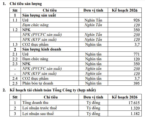 Phân bón Cà Mau (DCM): Nâng chỉ tiêu kinh doanh năm 2025, đặt mục tiêu của năm 2026 'thận trọng' - Ảnh 4