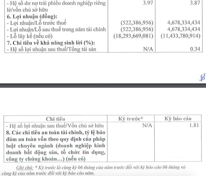 Vi phạm công bố thông tin, Bất động sản Vĩnh Xuân bị phạt - Ảnh 2