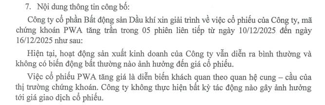 Cổ phiếu tăng trần 5 phiên liên tiếp, Bất động sản Dầu khí (PWA) nói gì? - Ảnh 1