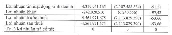 Cổ phiếu tăng trần 5 phiên liên tiếp, Bất động sản Dầu khí (PWA) nói gì? - Ảnh 3 Cổ phiếu tăng trần 5 phiên liên tiếp, Bất động sản Dầu khí (PWA) nói gì? - Ảnh 3