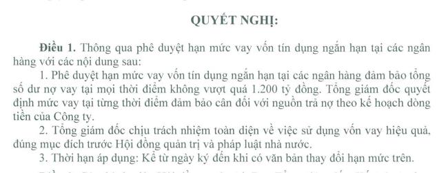 Cao su Đà Nẵng (DRC) phê duyệt hạn mức vay vốn tín dụng ngắn hạn tại ngân hàng - Ảnh 1