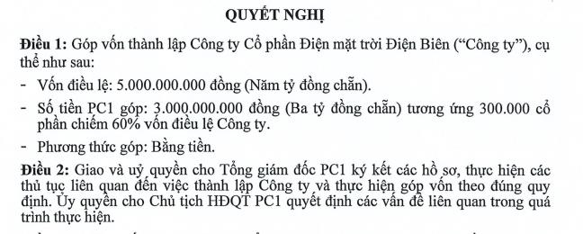 Tập đoàn PC1 (PC1) rót 3 tỷ đồng để thành lập công ty Điện mặt trời Điện Biên - Ảnh 1