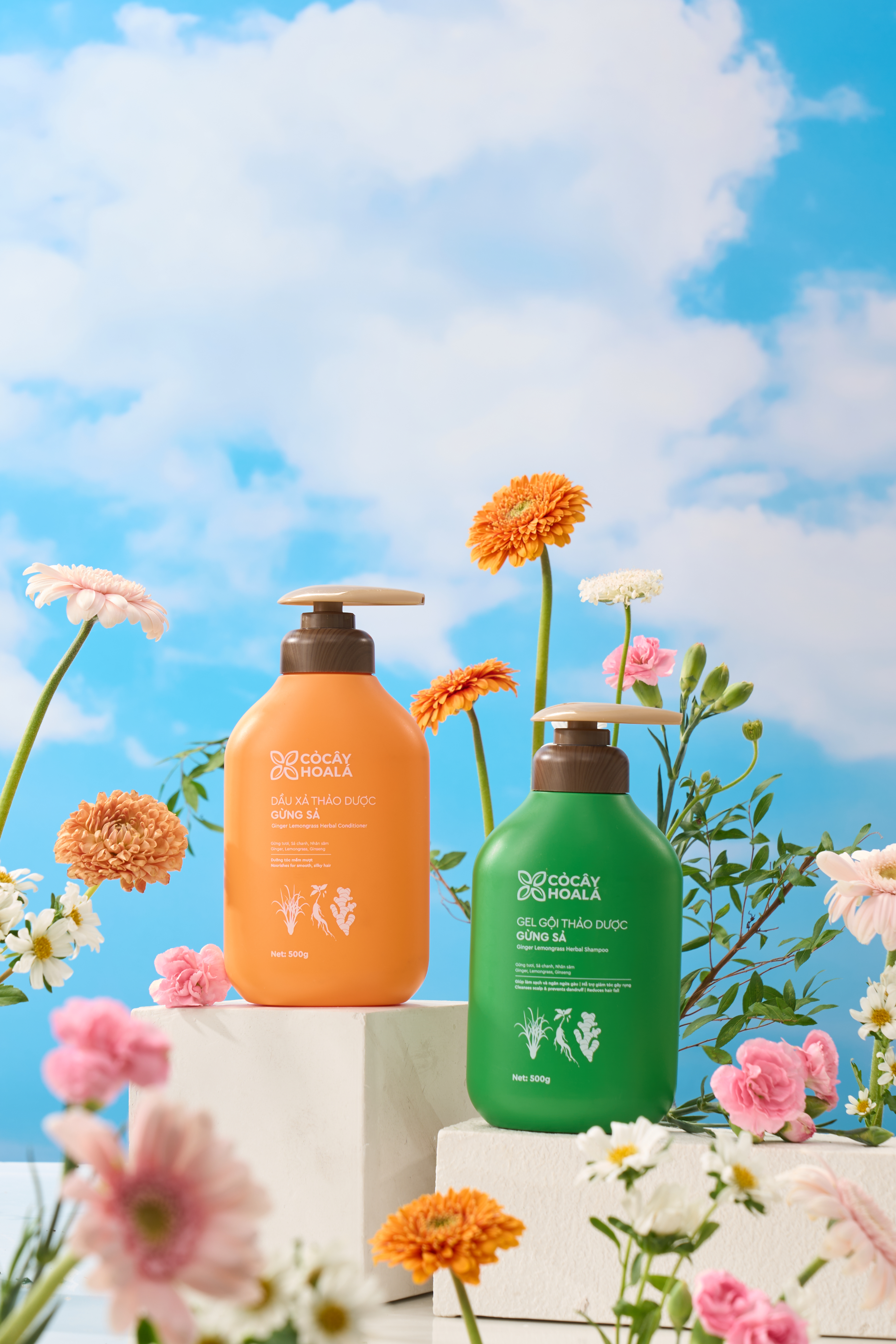 Quà tặng doanh nghiệp từ Cỏ Cây Hoa Lá: Trao giá trị xanh - Gửi trọn tâm ý - Ảnh 2