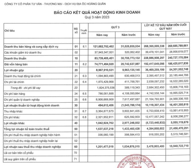 Địa ốc Ho&#224;ng Qu&#226;n (HQC) l&#249;i thời gian ch&#224;o b&#225;n ri&#234;ng lẻ 100 triệu cổ phiếu sang năm 2024 - Ảnh 2