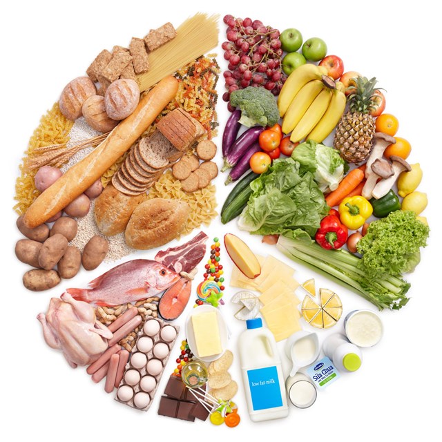 Chế độ ăn c&acirc;n bằng dinh dưỡng theo khuyến c&aacute;o được thể hiện qua th&aacute;p dinh dưỡng của Viện Dinh dưỡng Quốc gia l&agrave; tiền đề để c&oacute; hệ ti&ecirc;u h&oacute;a khỏe - Ảnh: Shutterstock
