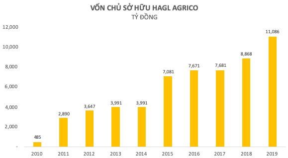 Nh&#236;n lại một thập ni&#234;n đầy thăng trầm của HAGL Agrico - Ảnh 1