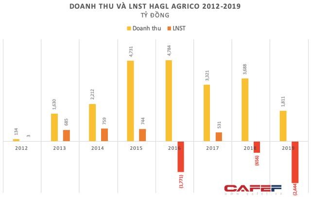 Nh&#236;n lại một thập ni&#234;n đầy thăng trầm của HAGL Agrico - Ảnh 2