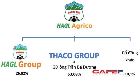 Cơ cấu cổ đ&ocirc;ng tại HAGL Agrico từ ng&agrave;y 8/8/2021.