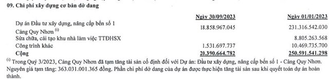 Sau 7 năm gửi hồ sơ, hơn 40 triệu cổ phiếu Cảng Quy Nhơn (QNP) sẽ ch&#224;o s&#224;n HOSE, gi&#225; tham chiếu 19.100 đồng/đơn vị - Ảnh 1
