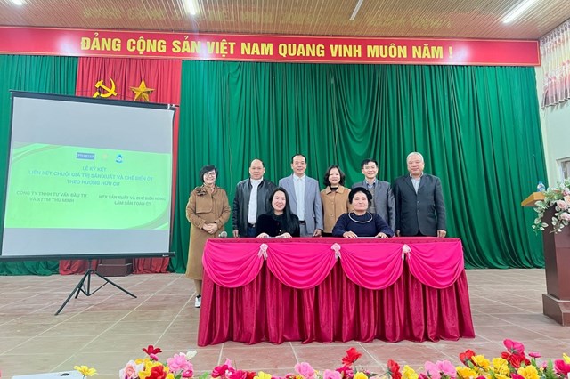 Lạng Sơn: X&#226;y dựng kế hoạch tuy&#234;n truyền th&#224;nh lập Hợp t&#225;c x&#227; trồng ớt v&#224; hướng dẫn kỹ thuật trồng, chăm s&#243;c c&#226;y ớt theo hướng hữu cơ - Ảnh 1