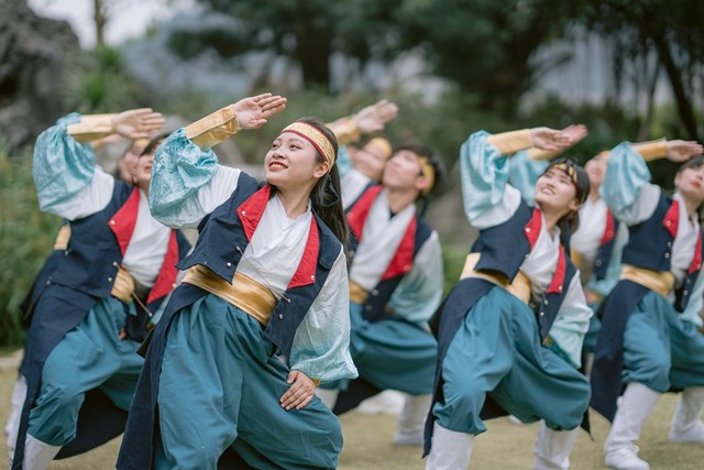 Một nghệ thuật thưởng thức m&#249;a đ&#244;ng của người Nhật - Ảnh 4