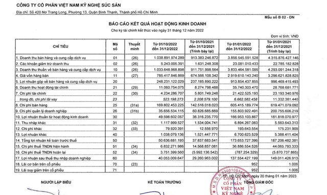 Kết quả kinh doanh của VSN