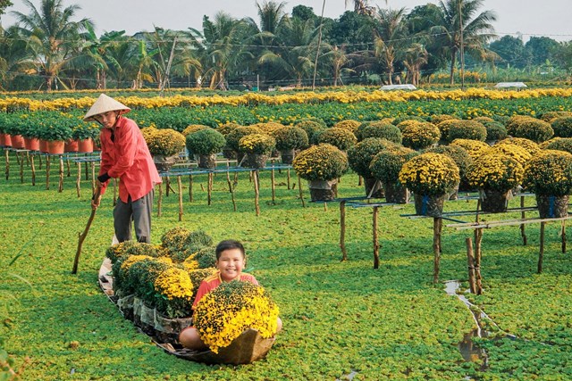 Hoa ở Sa Đ&eacute;c được trồng tr&ecirc;n c&aacute;c gi&agrave;n cao, ph&iacute;a dưới l&agrave; mặt nước x&acirc;m xấp. (Ảnh: V&otilde; Minh Thi&ecirc;n)