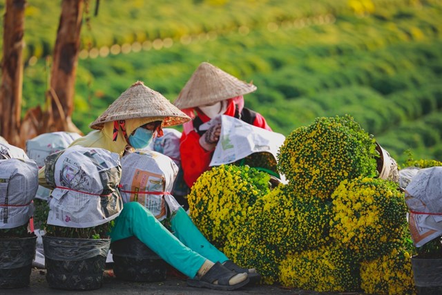 Hoa Sa Đ&eacute;c được đ&oacute;ng g&oacute;i cẩn thận đưa đến khắp c&aacute;c tỉnh th&agrave;nh trong nước v&agrave; quốc tế. (Ảnh: Blogger Vinh Gấu)