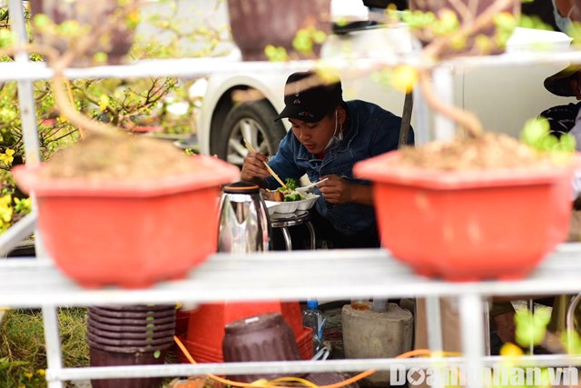 Sức mua giảm, thị trường c&#226;y cảnh Tết ở H&#224; Nội ảm đạm những ng&#224;y gi&#225;p Tết - Ảnh 1