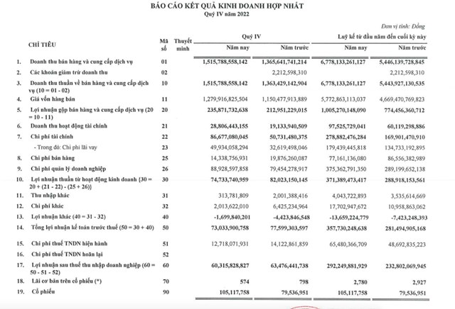 Mặc chi ph&#237; t&#224;i ch&#237;nh tăng cao, Đầu tư v&#224; Thương mại TNG (TNG) vẫn l&#227;i 358 tỷ đồng năm 2022 - Ảnh 1