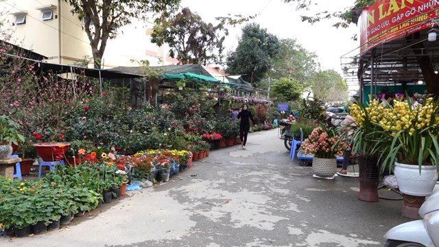 Chợ hoa Vạn Ph&uacute;c những ng&agrave;y cuối năm vắng vẻ khiến tiểu thương ng&aacute;n ngẩm - Ảnh: Dương Liễu