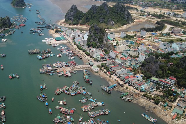 Ảnh minh họa. Nguồn: Internet