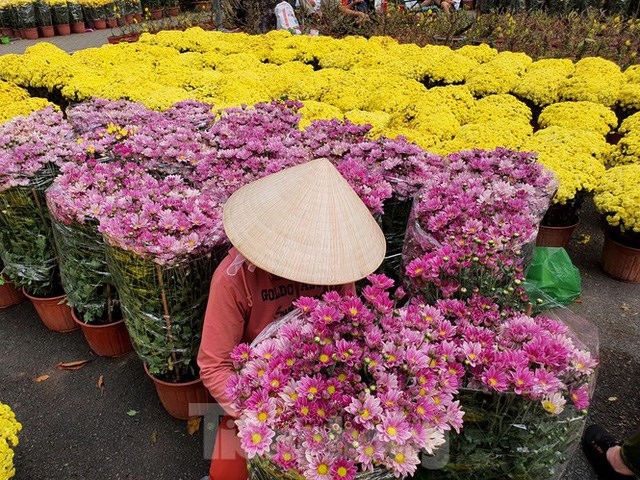 Nhiều tiểu thương đ&atilde; giảm gi&aacute; c&aacute;c loại hoa xuống rất thấp nhưng vẫn hiếm người mua.