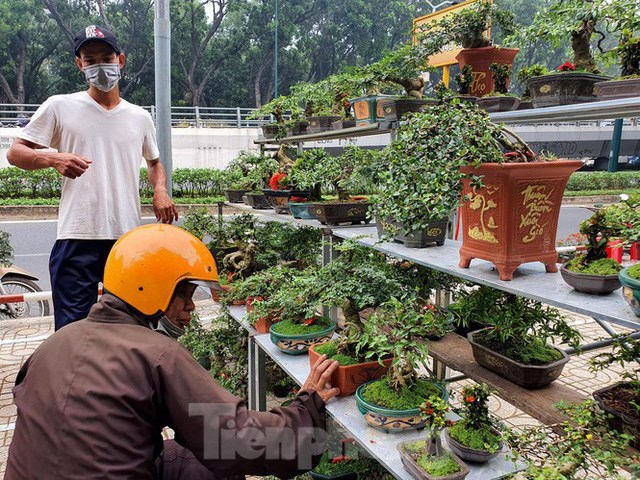 Chợ hoa xu&acirc;n l&agrave; nơi để những người c&oacute; sở th&iacute;ch chơi bonsai mini t&igrave;m đến để sưu tập những c&acirc;y cảnh đẹp về nh&agrave; chơi Tết.