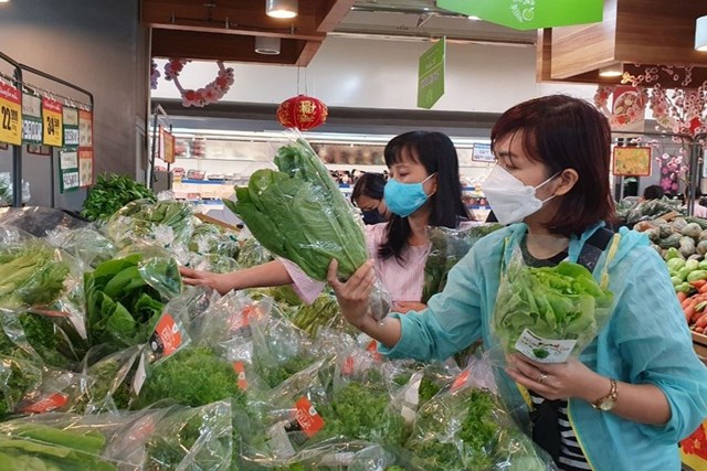 Mặt h&agrave;ng rau xanh phong ph&uacute; sau Tết. (Ảnh: TTXVN)