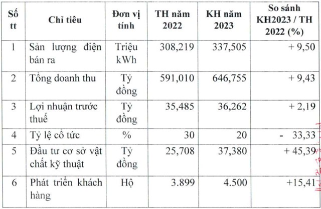 Điện Trà Vinh (DVT) ước lãi trước thuế 2023 hơn 36 tỷ đồng, cổ tức 20% - Ảnh 1