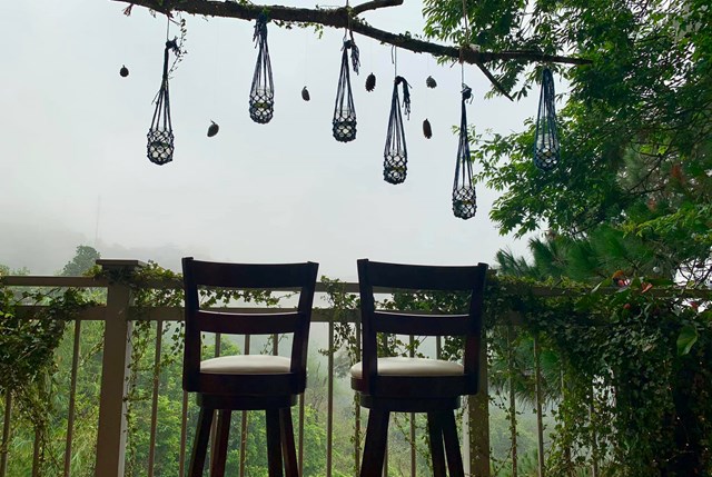 Ng&#244;i nh&#224; trăm sắc hoa đẹp như mơ giữa lưng chừng đồi ở Đ&#224; Lạt - Ảnh 3
