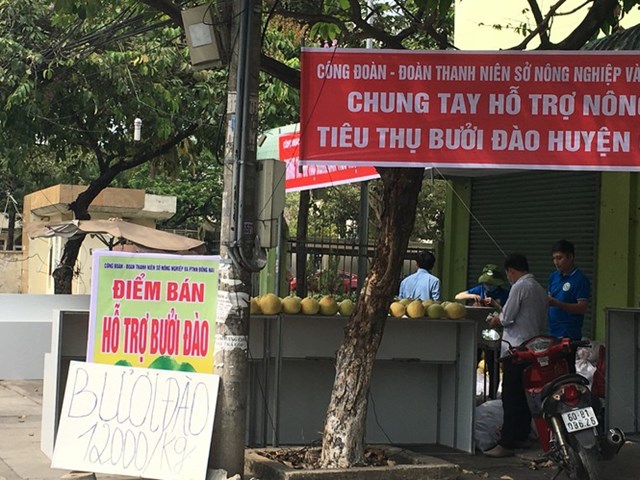 Bưởi được b&aacute;n "giải cứu" với gi&aacute; 12 ngh&igrave;n đồng/kg