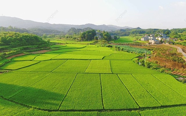 Tr&#236;nh tự, thủ tục cho ph&#233;p chuyển mục đ&#237;ch sử dụng đất - Ảnh 1