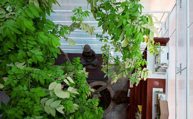 Nh&#224; cũ bỏ hoang 20 năm được bọc ho&#224;n to&#224;n bằng tấm nhựa - Ảnh 2