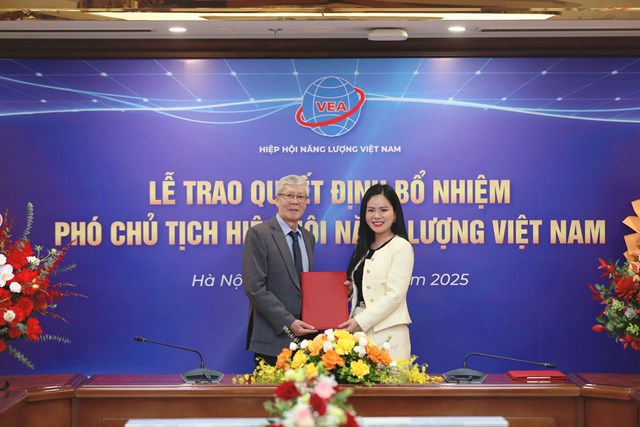 L&atilde;nh đạo Hiệp hội Năng lượng Việt Nam trao quyết định bổ nhiệm chức danh Ph&oacute; Chủ tịch Hiệp hội cho b&agrave; Nguyễn Thị Thanh B&igrave;nh, Ph&oacute; Tổng gi&aacute;m đốc T&amp;T Group, Chủ tịch T&amp;T Energy &nbsp;