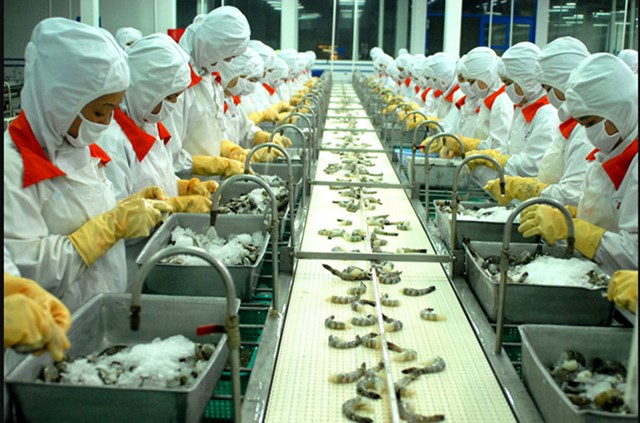 FMC – Thực phẩm Sao Ta dự kiến chia cổ tức tiền mặt tỷ lệ 20% trong năm 2021 - Ảnh 1