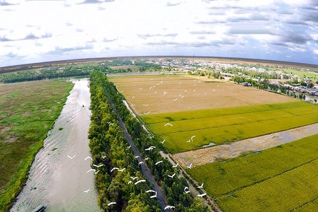 Cẩn thận “tiền mất tật mang” khi gom đất n&#244;ng nghiệp chờ chuyển đổi mục đ&#237;ch sử dụng hưởng lợi nhuận - Ảnh 1