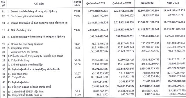 Tập đo&#224;n Sao Mai (ASM) dự kiến kh&#244;ng chia cổ tức năm 2022, kế hoạch l&#227;i sau thuế 2023 giảm 43% - Ảnh 1