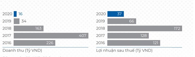 Mảng kinh doanh&nbsp;Bất động sản&nbsp;của c&aacute;c c&ocirc;ng ty th&agrave;nh vi&ecirc;n giảm mạnh (ảnh: B&aacute;o c&aacute;o thường ni&ecirc;n 2020)