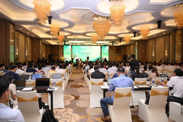 Quang cảnh hội thả